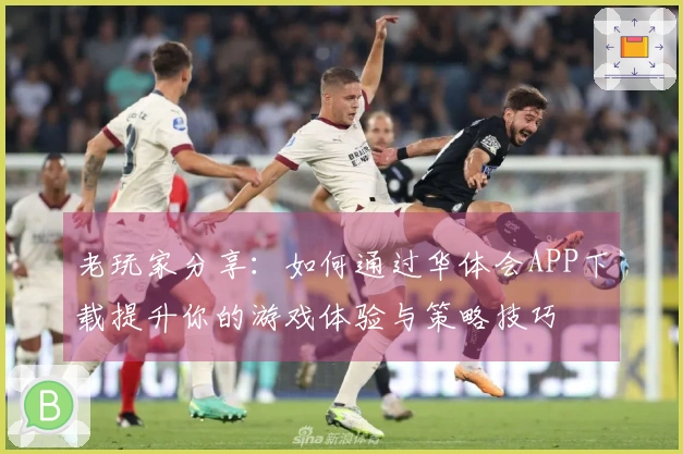 老玩家分享：如何通过华体会APP下载提升你的游戏体验与策略技巧