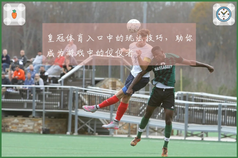 皇冠体育入口中的玩法技巧，助你成为游戏中的佼佼者