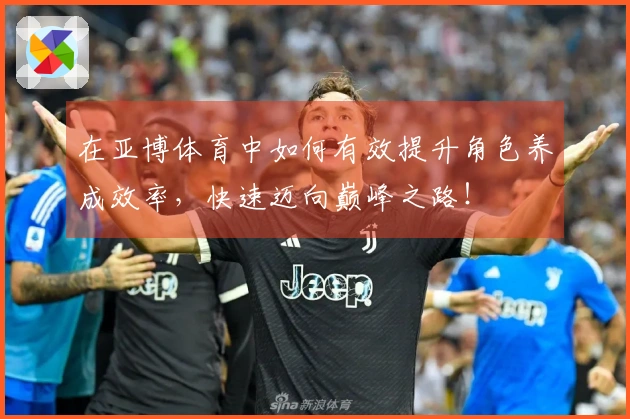 在亚博体育中如何有效提升角色养成效率，快速迈向巅峰之路！