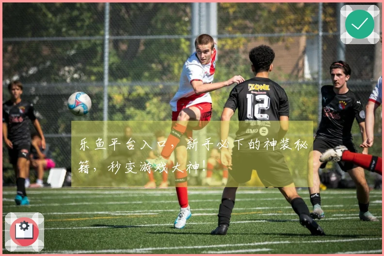 乐鱼平台入口，新手必下的神装秘籍，秒变游戏大神！