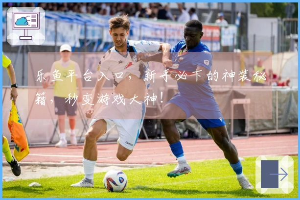 乐鱼平台入口，新手必下的神装秘籍，秒变游戏大神！