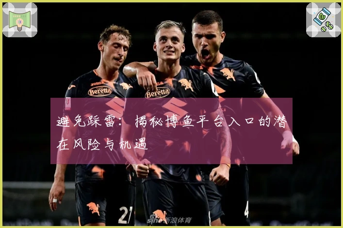 避免踩雷：揭秘博鱼平台入口的潜在风险与机遇