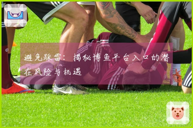 避免踩雷：揭秘博鱼平台入口的潜在风险与机遇